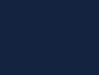 Levitze LLC