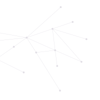 Levitze LLC