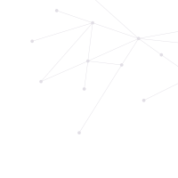 Levitze LLC